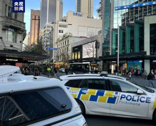 国产精品亚洲一区二区三区在线播放