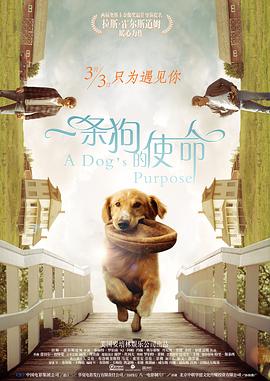国产精品毛片久久久久久