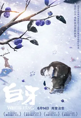 日本中文不卡
