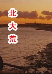 全黄性色大片