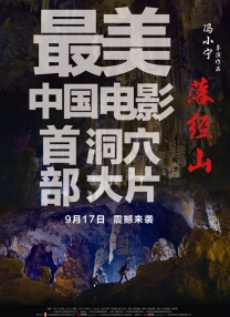 tk 的视频vk