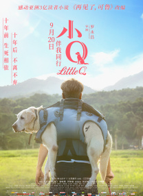含泪献身小说正版阅读