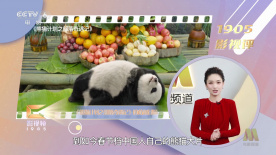 七妹的那些年