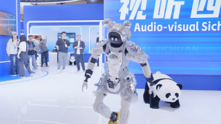 我的养母